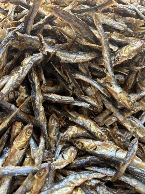 Sprats pour chiens et chats