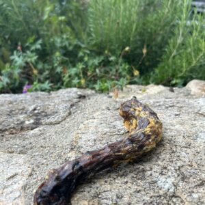 Les Cous de Volailles
