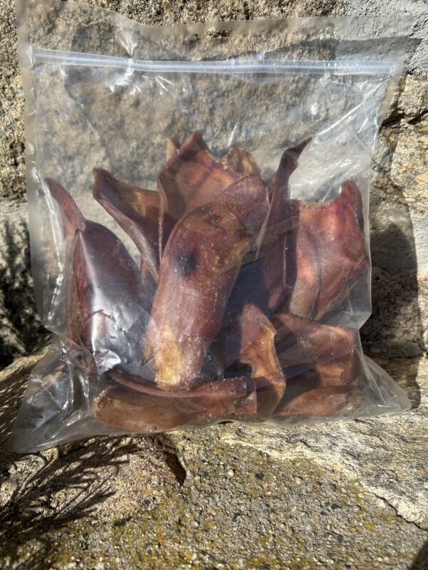 Oreille de porc – Image 2